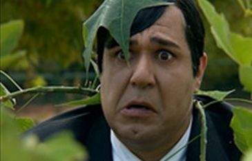 אמרגן, אמרגנים 